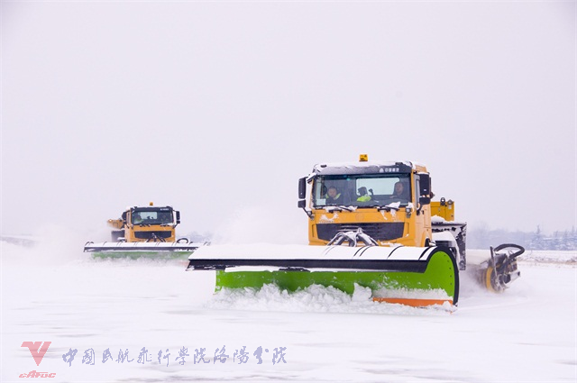 DSC_8861.PNG