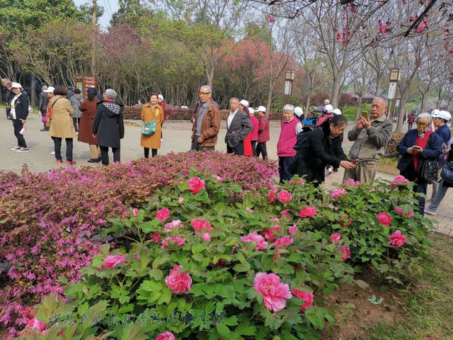 微信图片_20190411150820.jpg