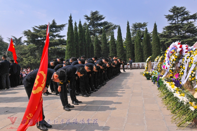 DSC_8985.jpg